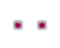Cushion Cut Ruby & Diamond Halo Stud Earrings in 9ct White Gold