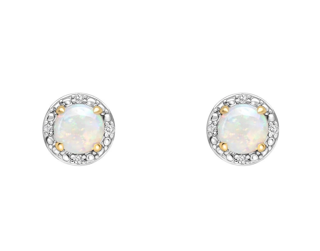 9ct Yellow Gold Opal Stud Earrings with Diamond Halo