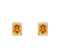 Detailed Octagon Citrine Stud Earrings in 9ct Yellow Gold