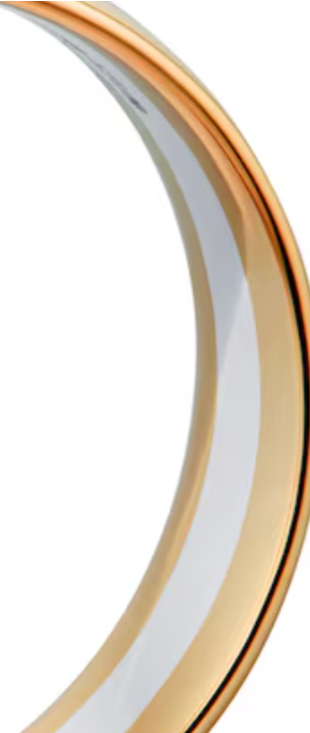 5mm Two-Colour 18ct Gold Wedding Band