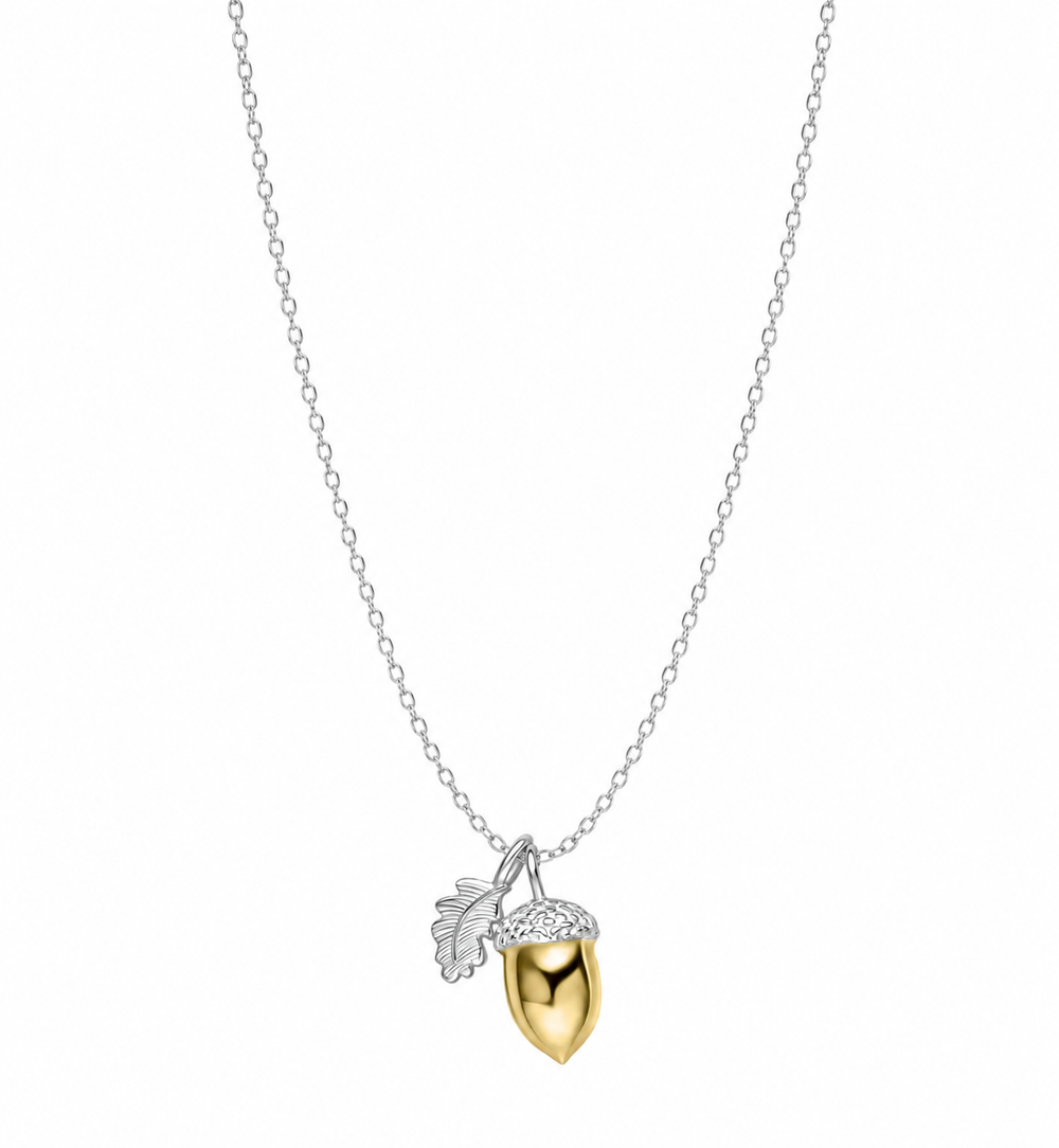 Laura Ashley Broadoak Two-Tone Silver Acorn Necklace