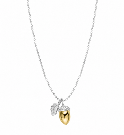 Laura Ashley Broadoak Two-Tone Silver Acorn Necklace