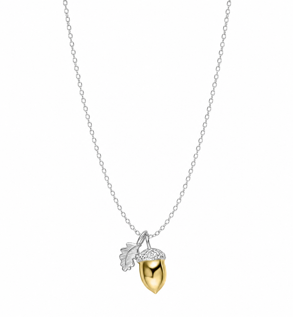 Laura Ashley Broadoak Two-Tone Silver Acorn Necklace
